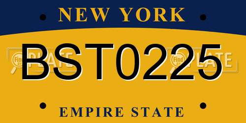BST0225 New York License Plate
