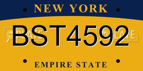 BST4592 New York License Plate