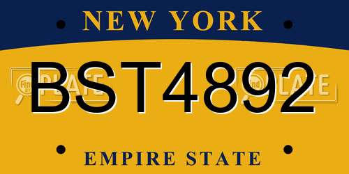 BST4892 New York License Plate
