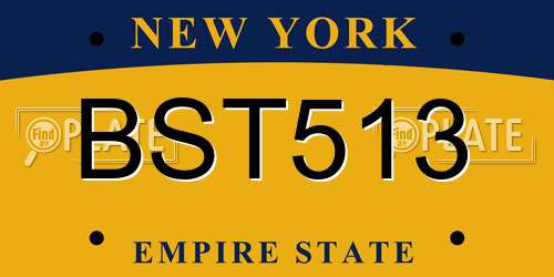 BST513 New York License Plate