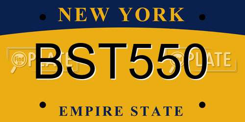 BST550 New York License Plate