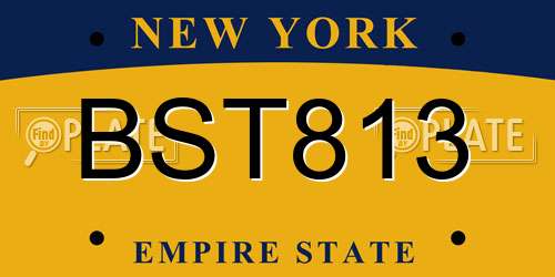 BST813 New York License Plate