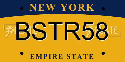 BSTR58 New York License Plate