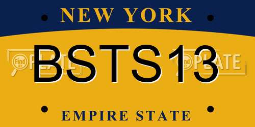 BSTS13 New York License Plate