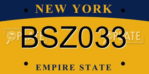 BSZ033 New York License Plate
