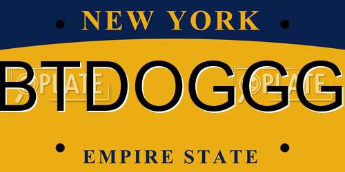 BTDOGGG New York License Plate