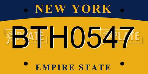 BTH0547 New York License Plate