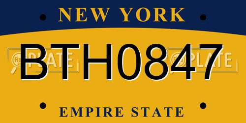 BTH0847 New York License Plate
