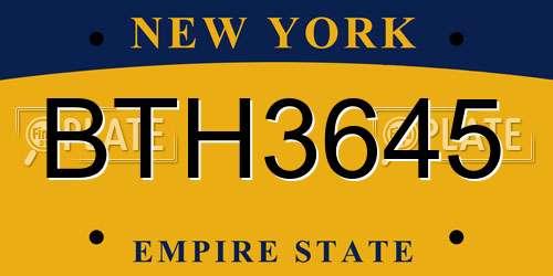 BTH3645 New York License Plate