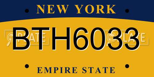 BTH6033 New York License Plate