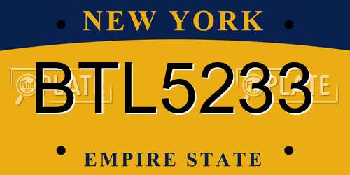 BTL5233 New York License Plate