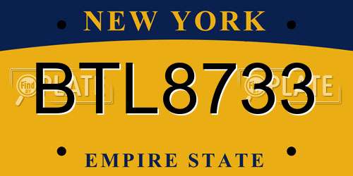 BTL8733 New York License Plate