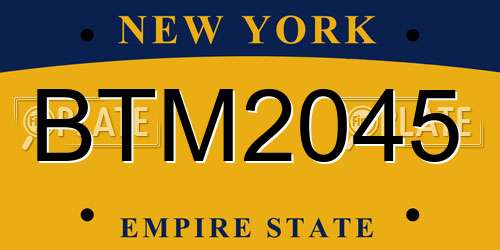 BTM2045 New York License Plate