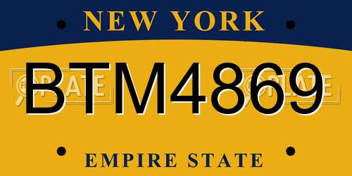 BTM4869 New York License Plate
