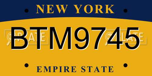 BTM9745 New York License Plate