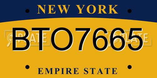 BTO7665 New York License Plate