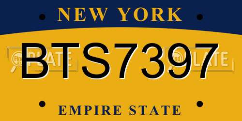 BTS7397 New York License Plate