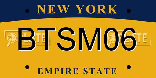 BTSM06 New York License Plate