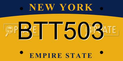 BTT503 New York License Plate