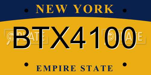 BTX4100 New York License Plate