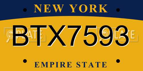 BTX7593 New York License Plate