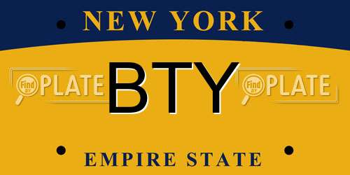 BTY New York License Plate