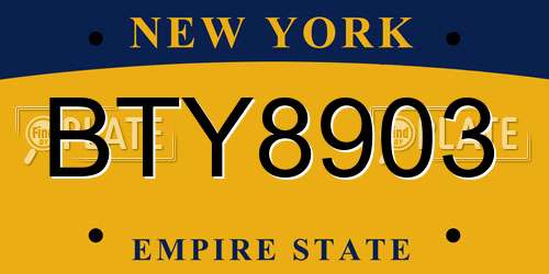 BTY8903 New York License Plate