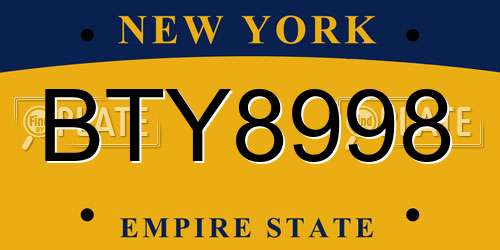 BTY8998 New York License Plate