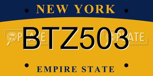 BTZ503 New York License Plate