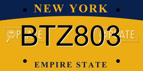 BTZ803 New York License Plate