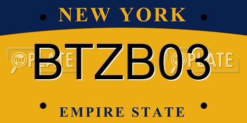 BTZB03 New York License Plate