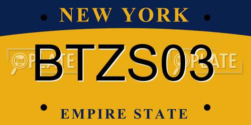 BTZS03 New York License Plate