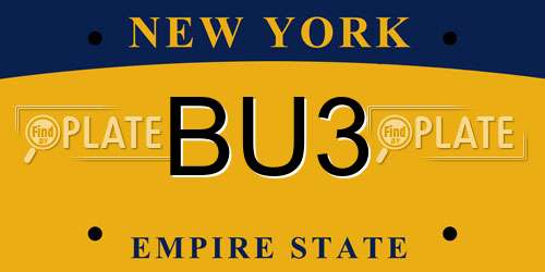 BU3 New York License Plate