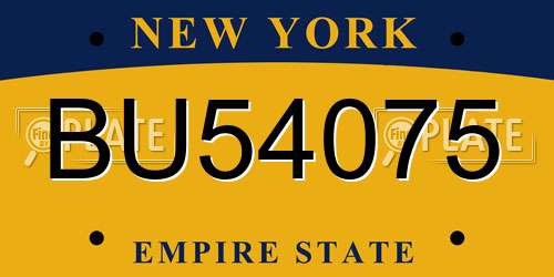 BU54075 New York License Plate