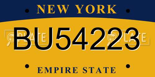 BU54223 New York License Plate