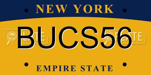 BUCS56 New York License Plate