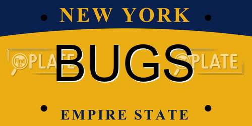 BUGS New York License Plate