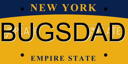 BUGSDAD New York License Plate