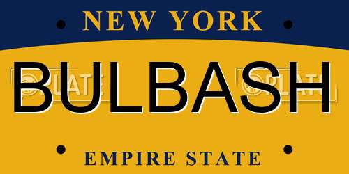 BULBASH New York License Plate
