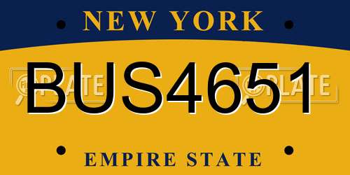 BUS4651 New York License Plate