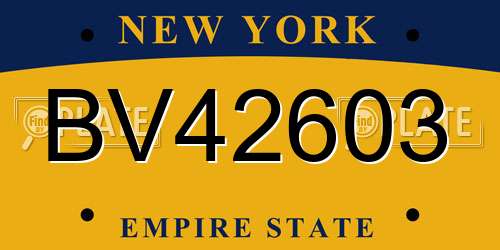 BV42603 New York License Plate