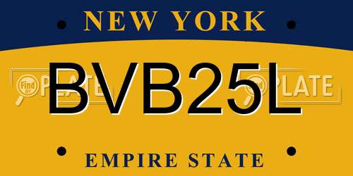 BVB25L New York License Plate