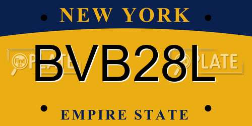 BVB28L New York License Plate