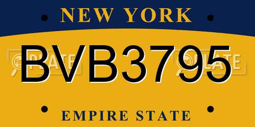 BVB3795 New York License Plate