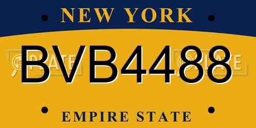 BVB4488 New York License Plate