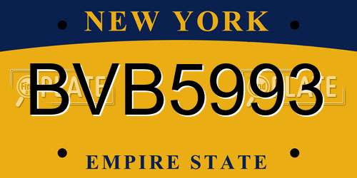 BVB5993 New York License Plate