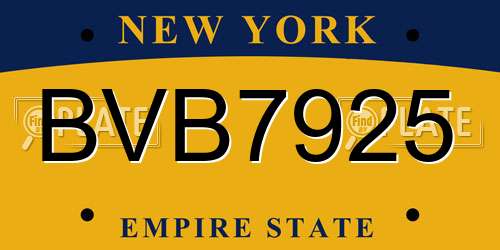 BVB7925 New York License Plate
