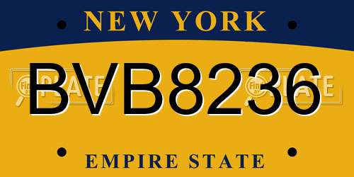 BVB8236 New York License Plate