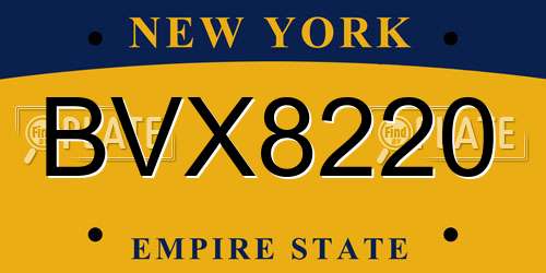 BVX8220 New York License Plate