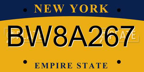 BW8A267 New York License Plate